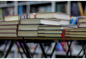 Le marché du livre 2025 à la loupe